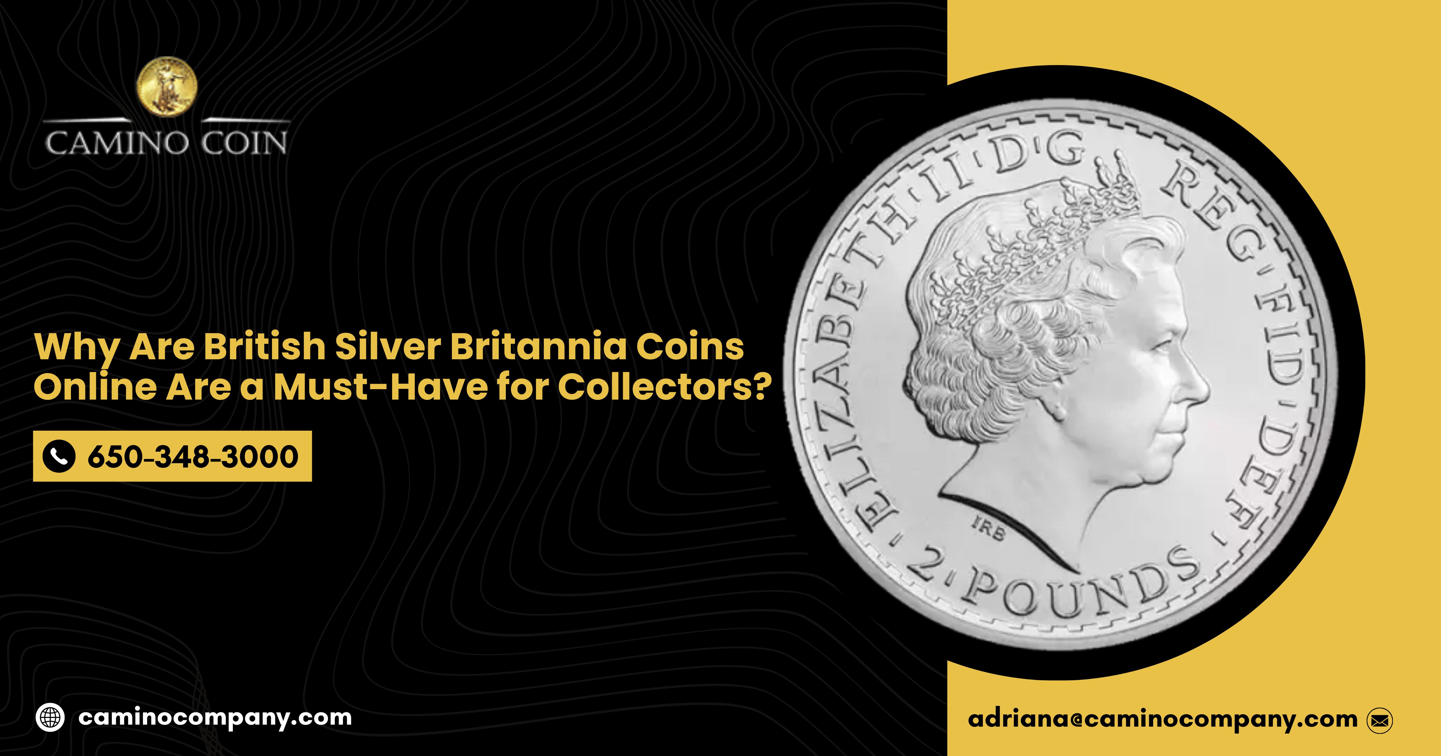 Why Are British Silver Britannia Coins Online Are a Must-Have for Collectors?