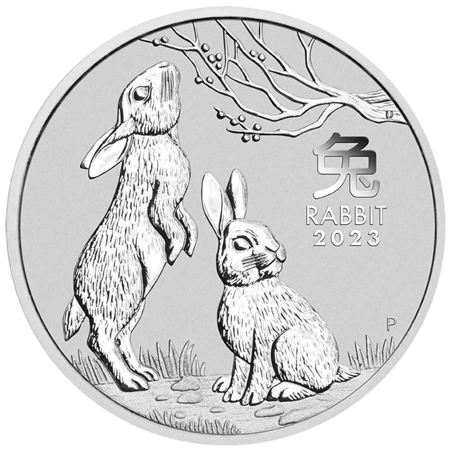 2023 1/2oz Australian Perth Mint Silver Lunar Series III: Year of the Rabbit (2)