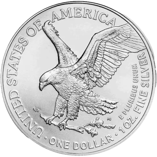 2024 1oz American Silver Eagle (3)
