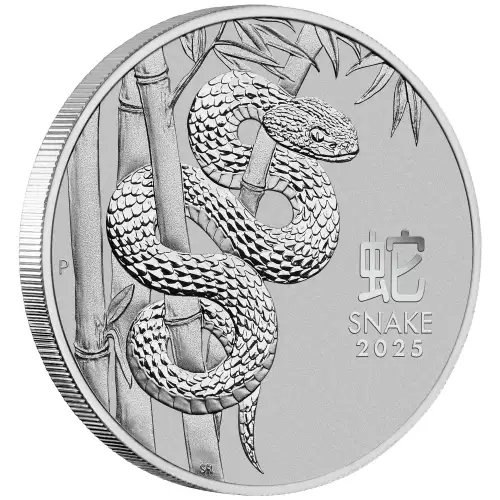 2025 1 oz Australian Platinum Lunar Snake Coin (3)