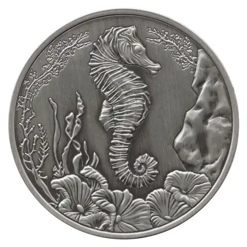 2025 1 oz Samoan Zebra Seahorse Antique Silver Coin (3)